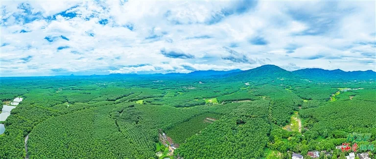 1741883246934041999.jpg 1741883246934041999.jpg