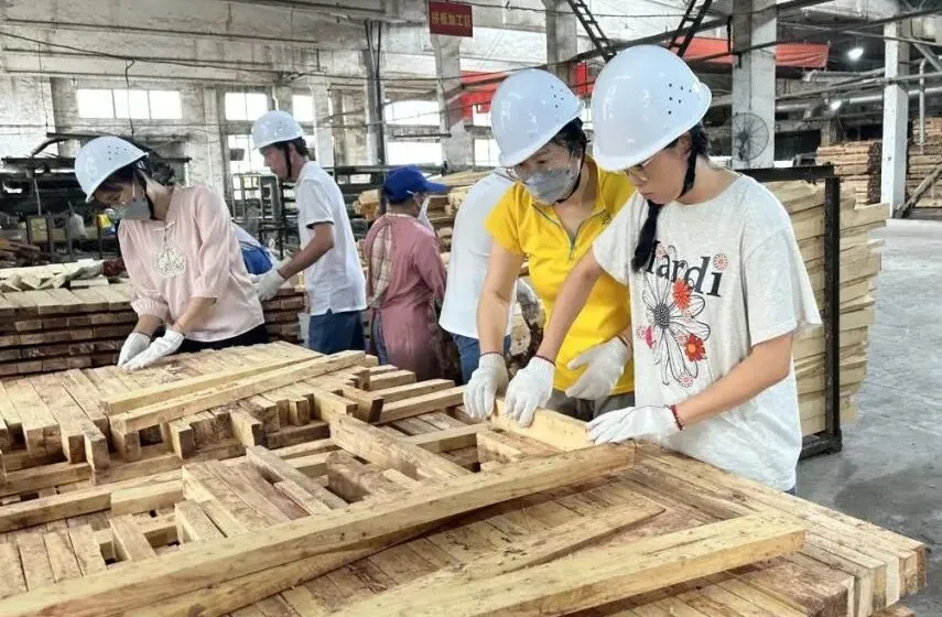 1765245734728011569.jpg 1765245734728011569.jpg