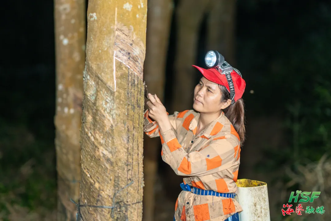 1772074919303073948.jpg 1772074919303073948.jpg